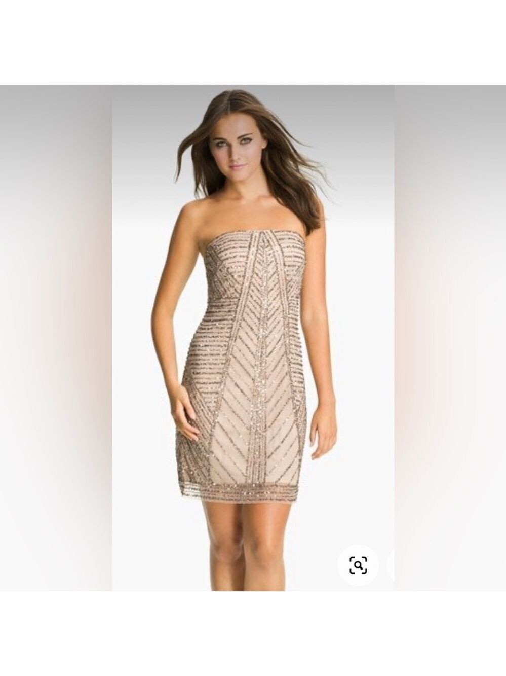 Adriana Papel Strapless Sequined Embellished Mesh Dress. Size 4